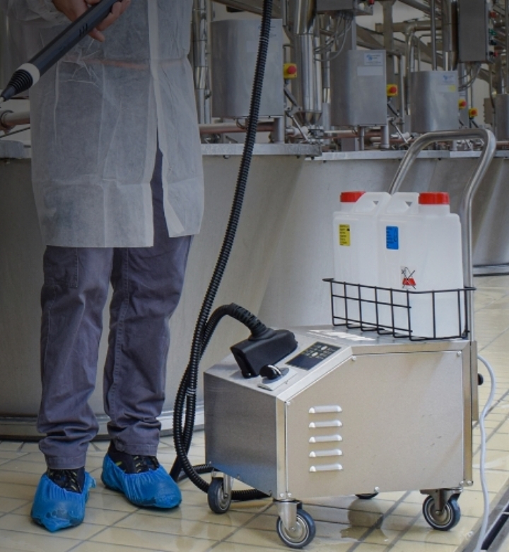 Picture for category Steam Cleaners